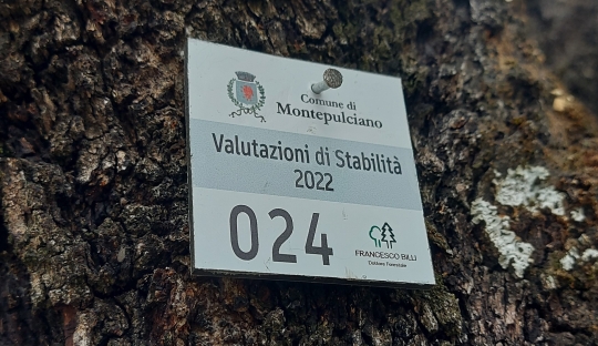 Valutazione di stabilità degli alberi presenti nel giardino di Poggiofanti a Montepulciano e nelle aree limitrofe